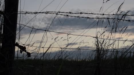 barbed wire fence at sunset