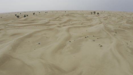 Aerial-view-of-endless-desert-in-sight-after-rain