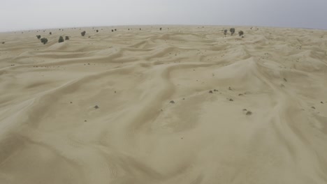 vista aérea del interminable desierto a la vista después de la lluvia