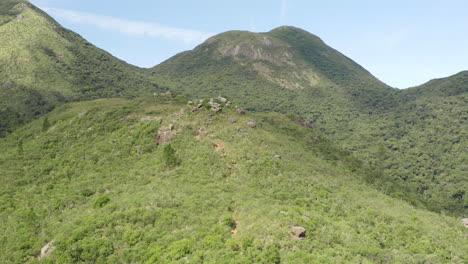selva tropical montaña, brasil, américa del sur