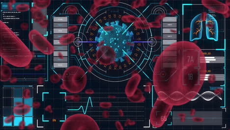 Animación-De-Datos-Médicos-Y-Frecuencia-Cardíaca-Sobre-Glóbulos-Rojos-E-Ilustración-De-Virus