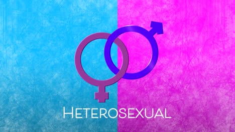 Animation-of-text-heterosexual-with-linked-male-and-female-gender-symbols-on-pink-and-blue