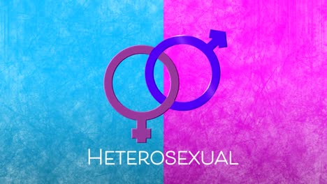 animación de texto heterosexual con símbolos de género masculino y femenino vinculados en rosa y azul