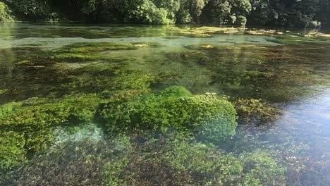 niebieskie oko to źródło wody i zjawisko naturalne występujące w pobliżu wioski muzinë w gminie finiq w południowej albanii