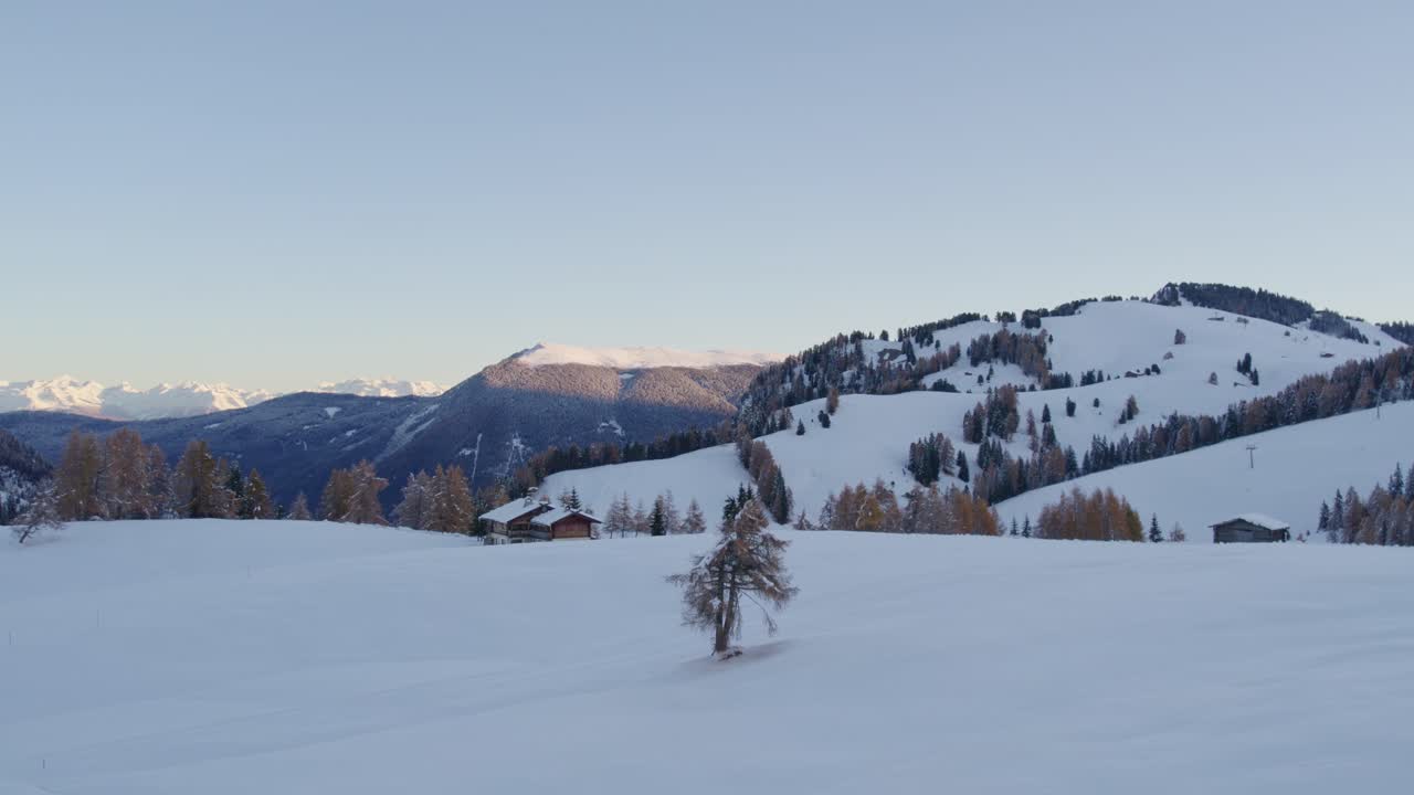 Veduta aerea di un paesaggio innevato con alberi e le Dolomiti, Alpe di Siusi, Italia