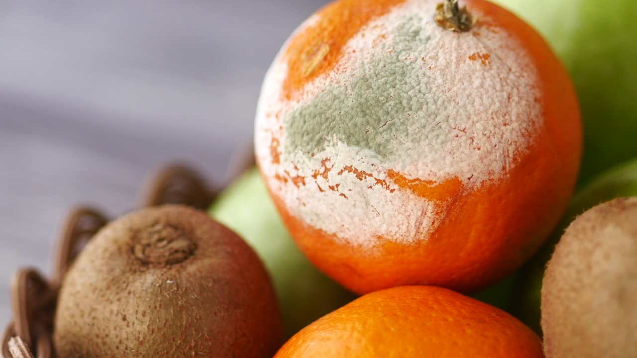 Moldy Orange and Other Fruits in a Basket