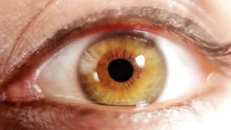 Closeup-of-eye