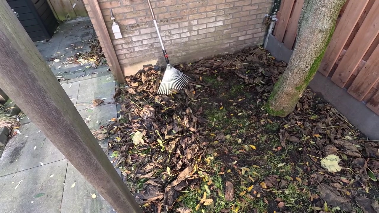 Shot of garden bed full of leaves.