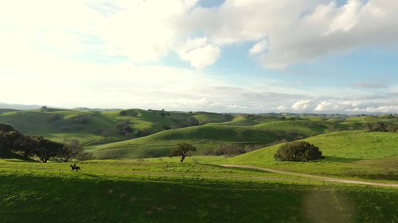 caballo corriendo por una colina verde a través del marco, drone aéreo