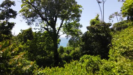 Luftaufnahme-Aus-Einer-Luxushütte-Mitten-Im-Wald-In-Richtung-Meer