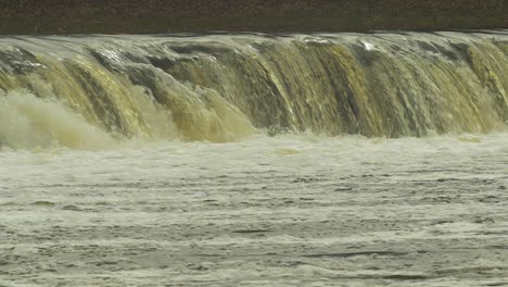 vimba fish in kuldiga, medium slow motion shot from the distance