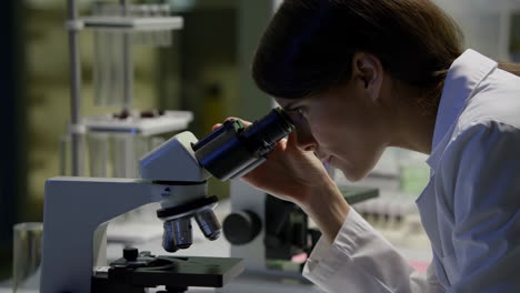 científico trabajando con un microscopio en un laboratorio