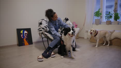 girl smiling and having fun with dogs at home, border collie enjoying back rub, labrador sniffing around, puppy daycare, pet sitting, happiness, furry friends, dog wants attention, therapy animal