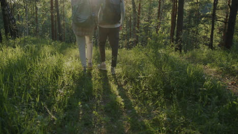 couple hiking in a forest
