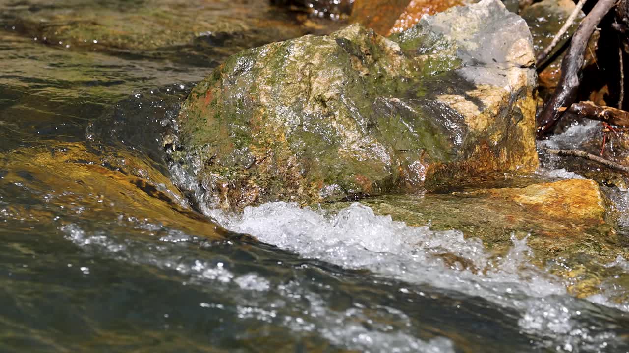 Sunlit freshwater stream flows over mossy rocks in a tranquil forest creek, natural daylight