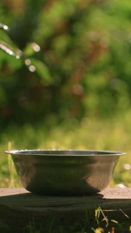 cuenco metálico apoyado en una tabla de madera en un entorno al aire libre, rodeado de vegetación iluminada por el sol, con un fondo natural borroso y hojas balanceadas, con una suave luz bokeh en el fondo