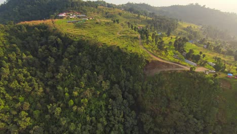 Dense-deciduous-tree-forest-sits-below-terraced-farmland-fields-in-Nepalese-countryside