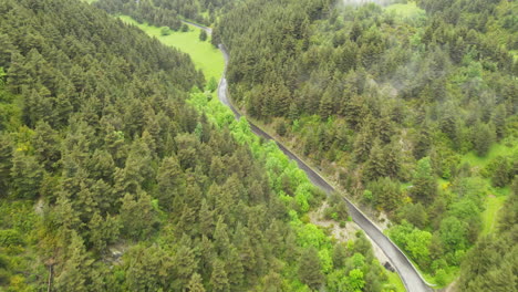 Vista-Aérea-De-Drones-De-Una-Sinuosa-Carretera-De-Montaña-Entre-Pinos-Ubicados-En-Los-Pirineos