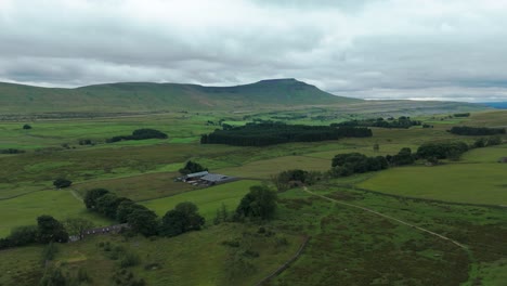 aerial view of picturesque farmland in the yorkshire dales