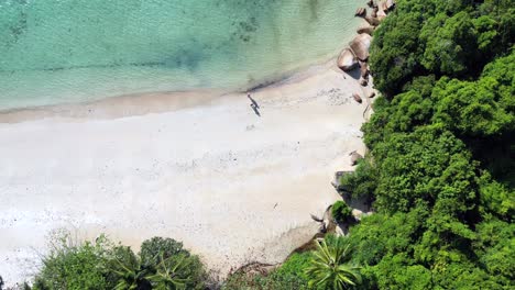 Pareja,-Paraíso-Tropical,-Aislada,-Serena-Playa-De-Arena-Junto-A-Un-Frondoso-Bosque,-Aguas-Cristalinas-Y-Azules