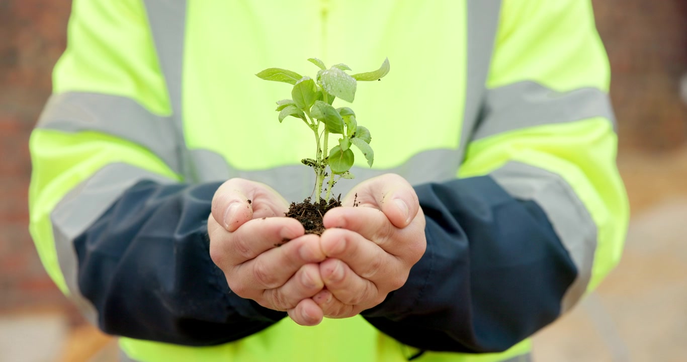 Construction Worker Holding Small Green Plant in Hands