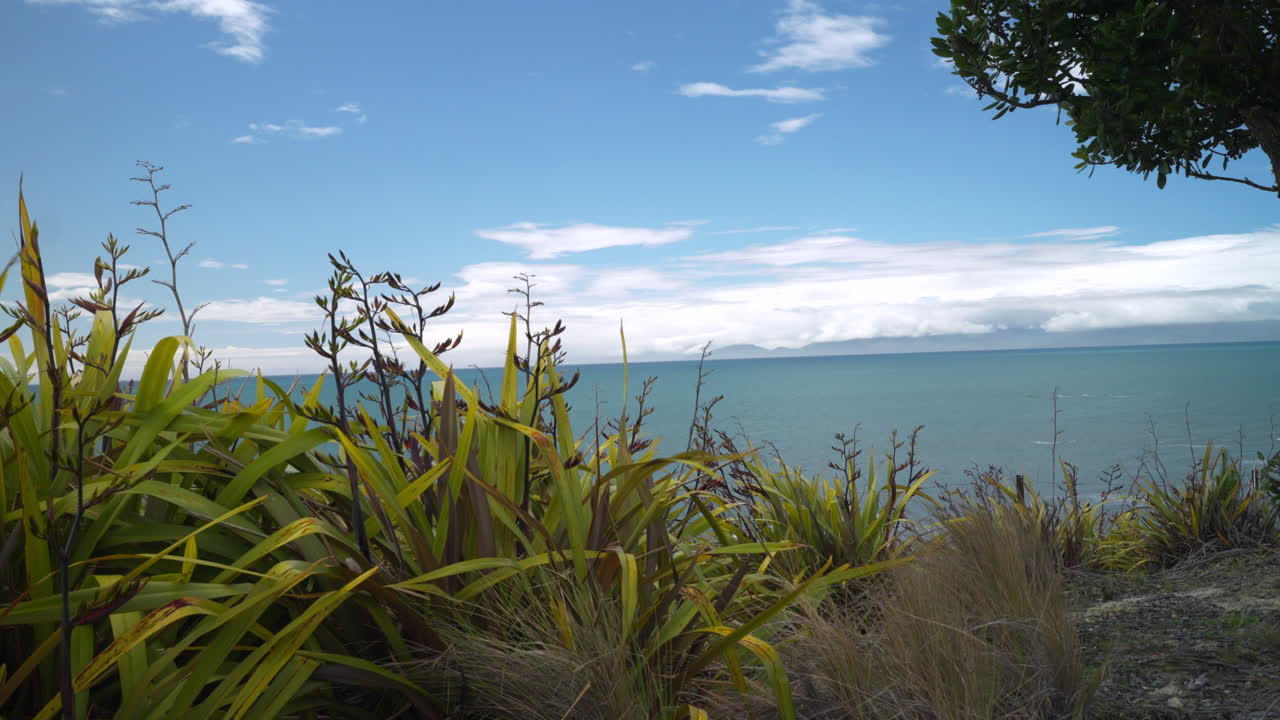 motionlapse de la bahía de tasmania, en la isla sur de nueva zelanda en un día soleado