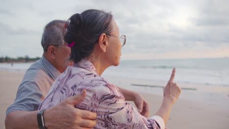 elderly couple enjoying sunset at the beach