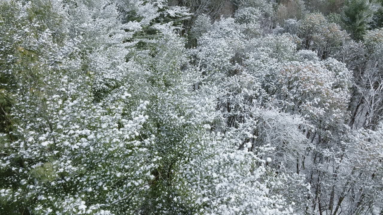 Immagini aeree mostrano un bosco del Midwest ricoperto da un immacolato strato di neve dopo una bufera, realizzate con un drone.