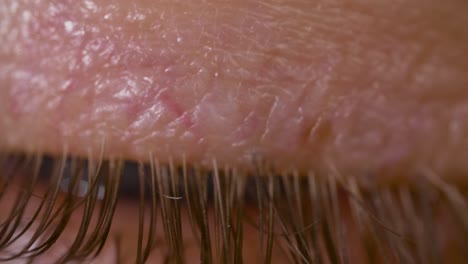 macro shot of caucasian male eyelid with blue eye