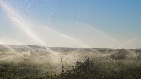 Riego-Agrícola.