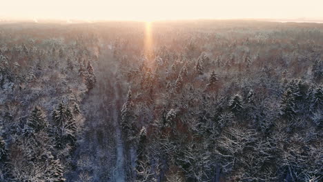 Aerial-footage-of-flying-between-beautiful-snowy-trees-in-the-middle-of-wilderness-in-Lapland-Finland.