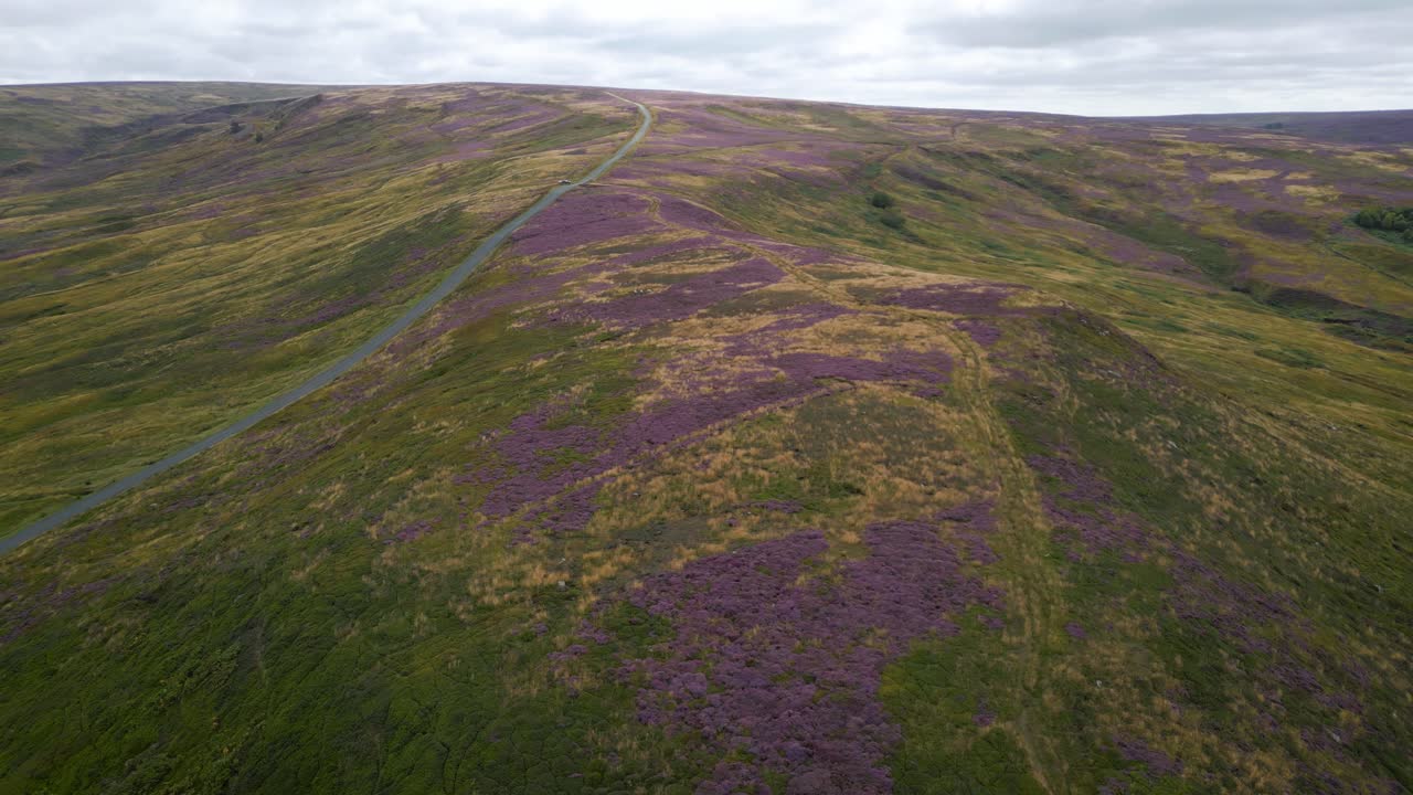 secuencia aérea de los brezos de north york moors en plena floración a mediados de agosto de 2022