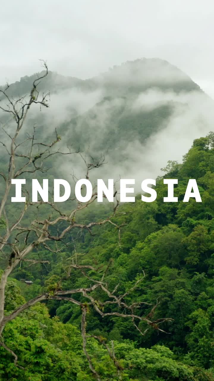 video de avión no tripulado vertical de bosque tropical y paisaje de selva cubierto con gráficos animados que deletrean indonesia
