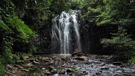 establishing shot of ellinjaa falls in millaa millaa queensland australia