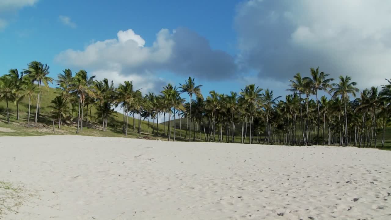 panorámica a través de una playa de arena blanca casi perfecta con palmeras tropicales en la distancia