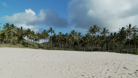 Panorámica-En-Una-Playa-De-Arena-Blanca-Casi-Perfecta-Con-Palmeras-Tropicales-En-La-Distancia