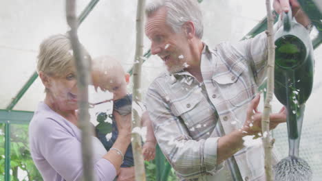 Abuelos-Con-Nieto-Bebé-Regando-Plantas-En-Invernadero-Juntos