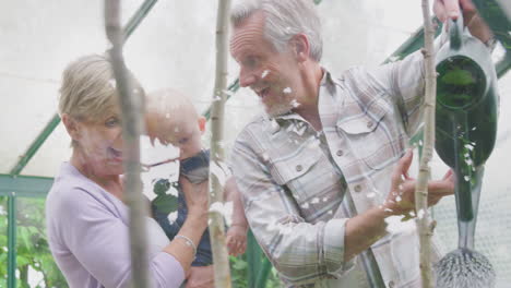 abuelos con nietos bebés regando plantas en el invernadero juntos