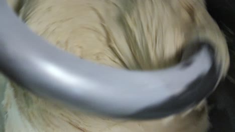 부 서에서 반죽을 는 것