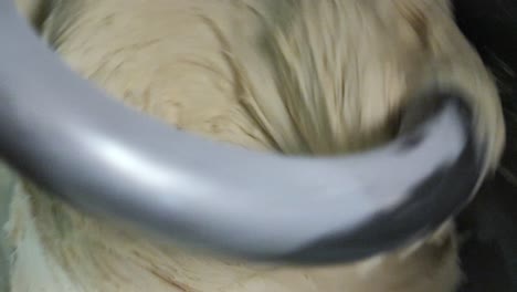 mixing dough in a kitchen mixer