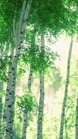 sunlight filtering through lush trees in a serene forest grove
