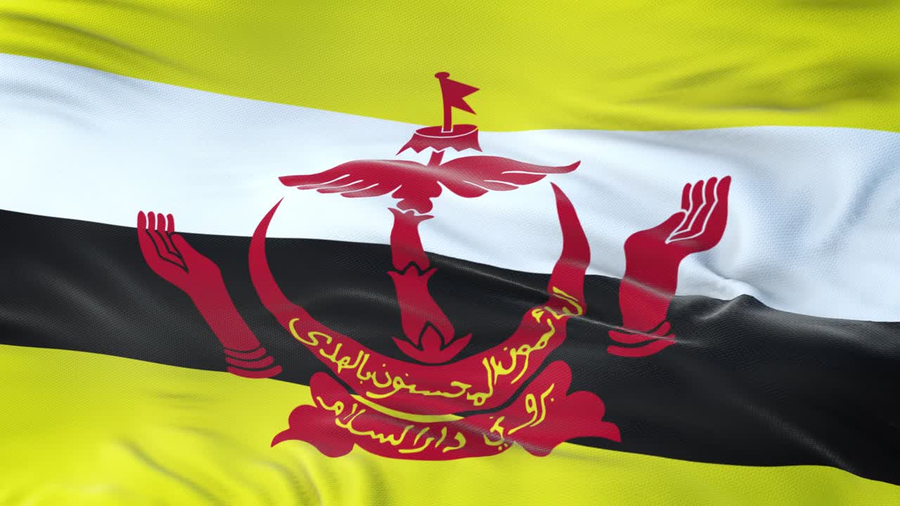 bandera de brunei ondeando en el viento con textura de tela muy detallada. bucle sin costuras