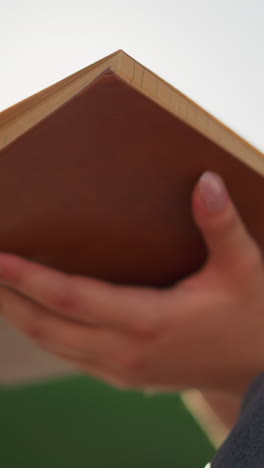 los rayos del sol se reflejan en el libro abierto sostenido por una mujer sentada al aire libre con las piernas cruzadas, mientras el viento sopla, las páginas giran suavemente, mientras que el fondo y la mujer están ligeramente borrosos