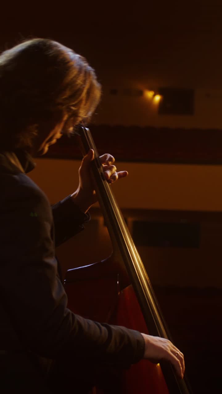 contrabajista en concierto