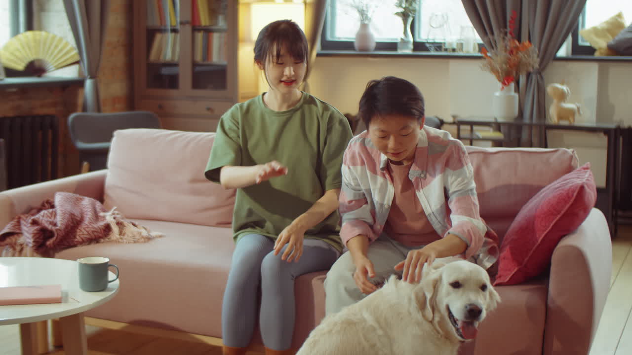 아시아 여성들이 집에서 골든 리트리버를 만지고 있습니다.