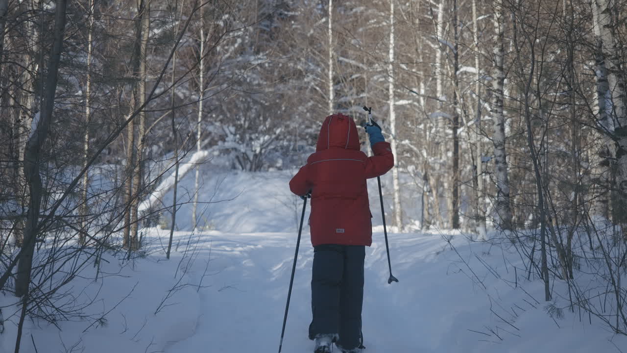 Bambino che fa sci alpinismo in una foresta innevata