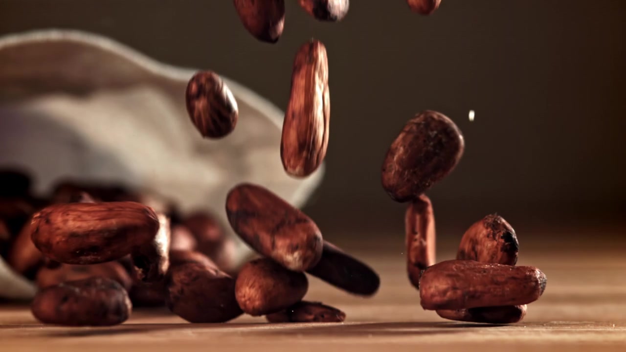 Rallentatore di fave di cacao crude che cadono su una superficie di legno