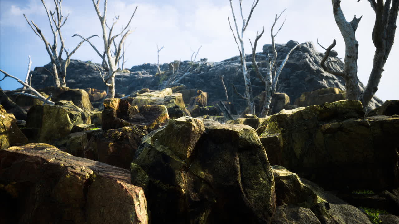 Rocky terrain with bare trees and a mountainous background under a clear sky