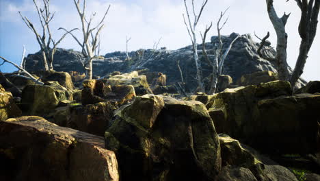 rocky terrain with bare trees and a mountainous background under a clear sky