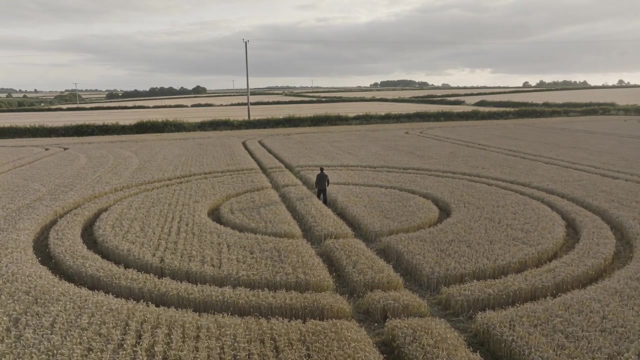 Walking man in dark jacket moving along tramline to inspect crop rings as aerial camera starting